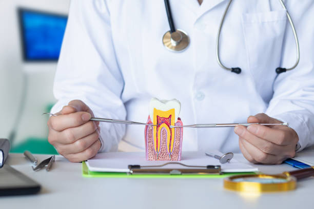 Best Emergency Dental Extractions in Norris City, IL